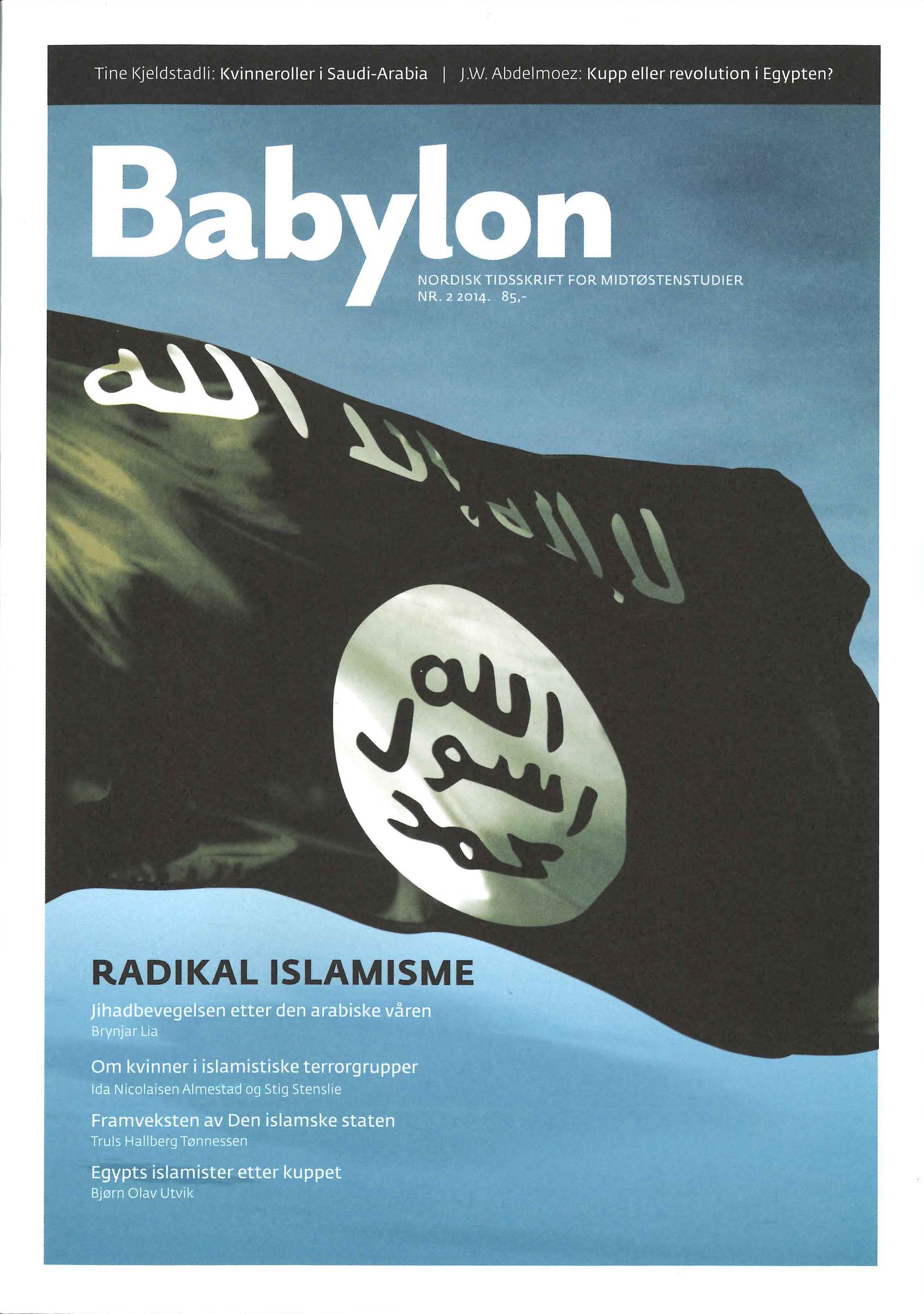 					Se Nr 2 (2014): Radikal islamisme
				